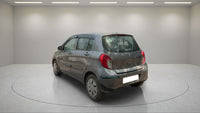 CELERIO9072