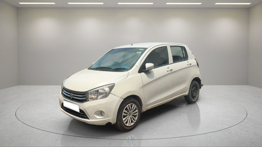 CELERIO8374