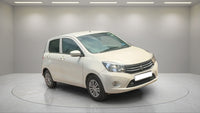 CELERIO8374