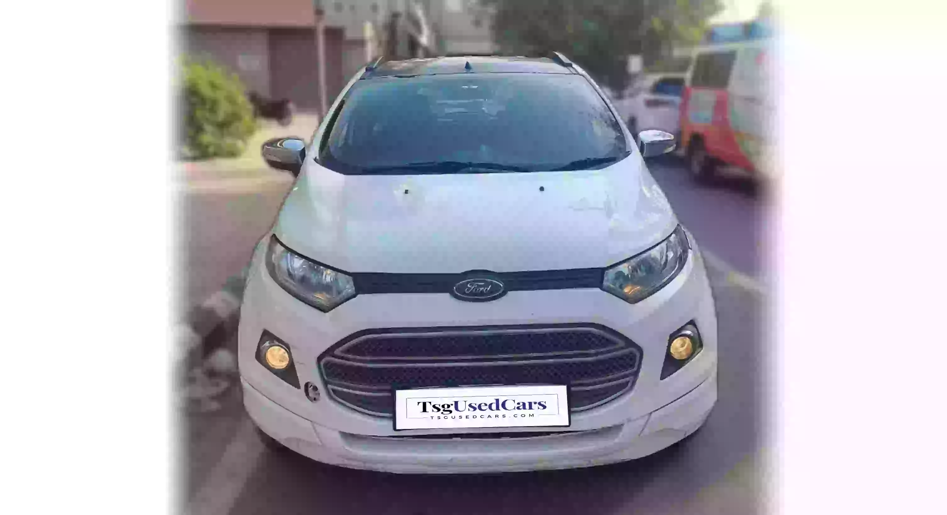 Ford Eco Sport DSL TREND 2015
